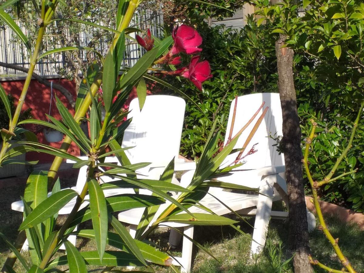 Bed & Breakfast La Rosa Rossa Cagli Eksteriør billede